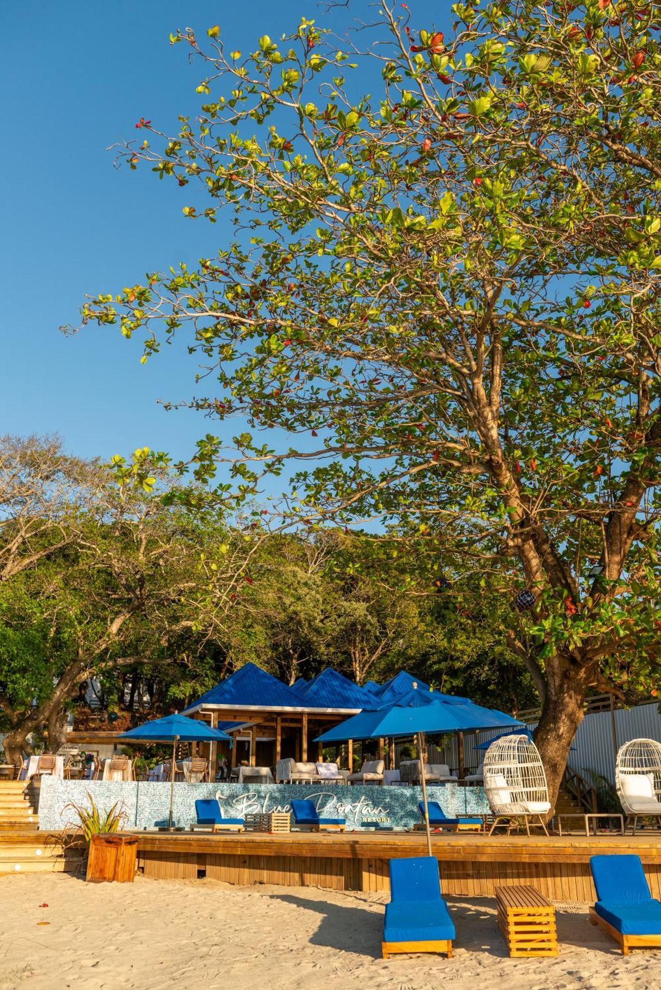Blue Roatan Resort West Bay Kültér fotó