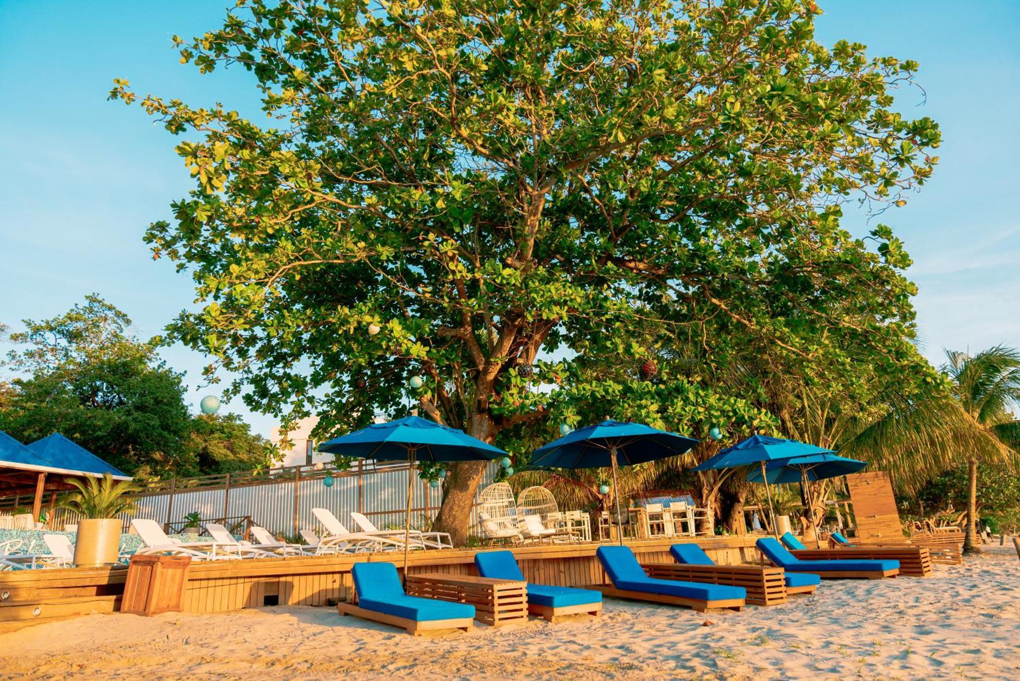Blue Roatan Resort West Bay Kültér fotó